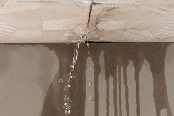 Professional Flood Damage Cleanup technician working in Hollins, AL